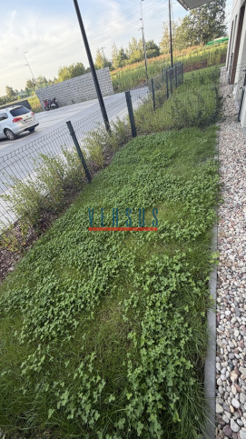 Mieszkanie Sprzedaż Julianów Urbanistów 15